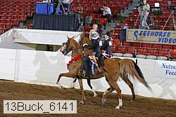 13buck_6141 proof