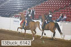 13buck_6142 proof