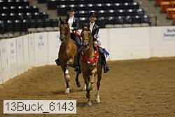 13buck_6143 proof