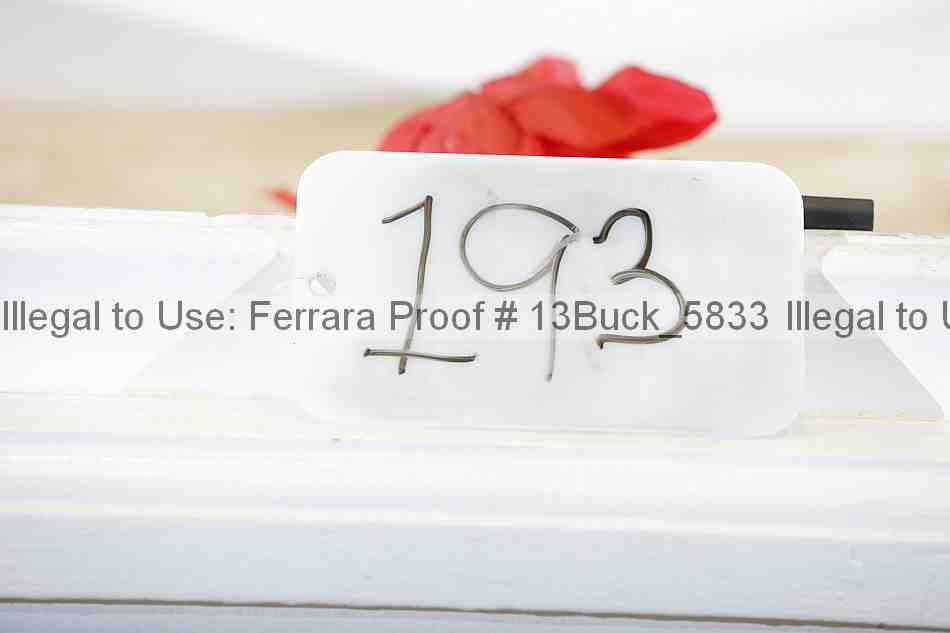 Proof 13buck_5833