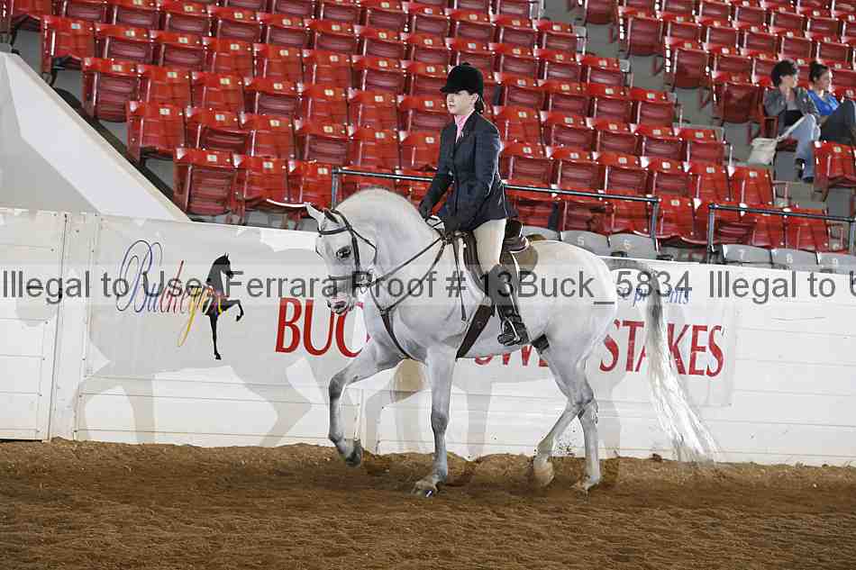 Proof 13buck_5834