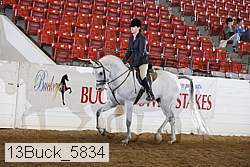 13buck_5834 proof