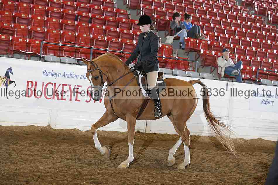 Proof 13buck_5836
