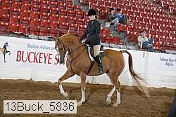 13buck_5836 proof