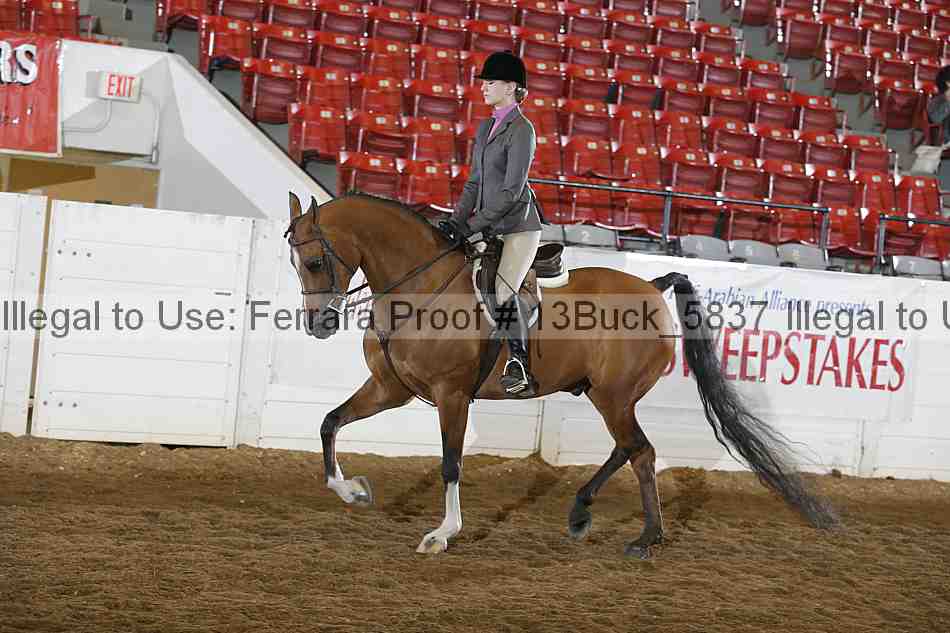 Proof 13buck_5837