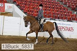 13buck_5837 proof