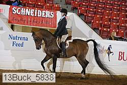 13buck_5838 proof