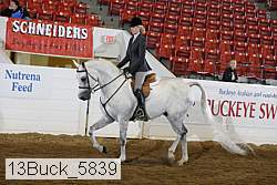 13buck_5839 proof