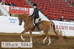 13buck_5840 proof
