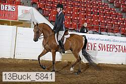 13buck_5841 proof