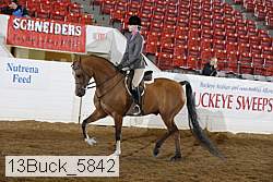 13buck_5842 proof