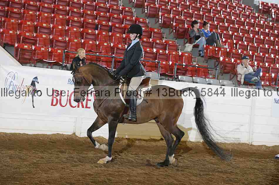 Proof 13buck_5844