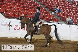 13buck_5844 proof