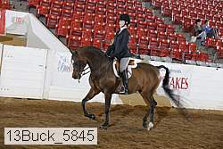 13buck_5845 proof