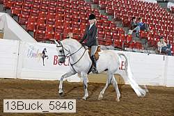 13buck_5846 proof