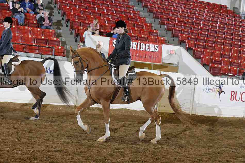 Proof 13buck_5849