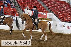 13buck_5849 proof