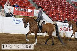 13buck_5850 proof