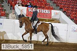 13buck_5851 proof
