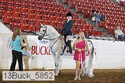 13buck_5852 proof