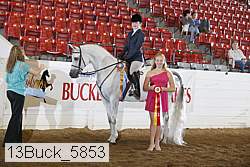 13buck_5853 proof