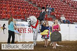 13buck_5856 proof