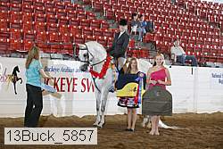 13buck_5857 proof