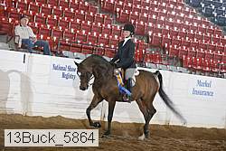 13buck_5864 proof