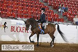 13buck_5865 proof