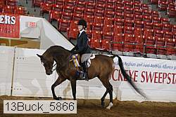 13buck_5866 proof