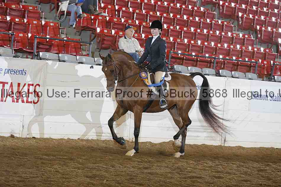 Proof 13buck_5868