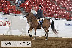 13buck_5868 proof