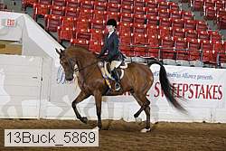 13buck_5869 proof