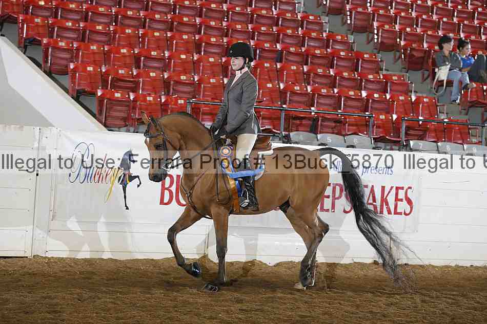 Proof 13buck_5870