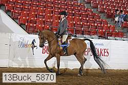 13buck_5870 proof