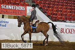 13buck_5871 proof