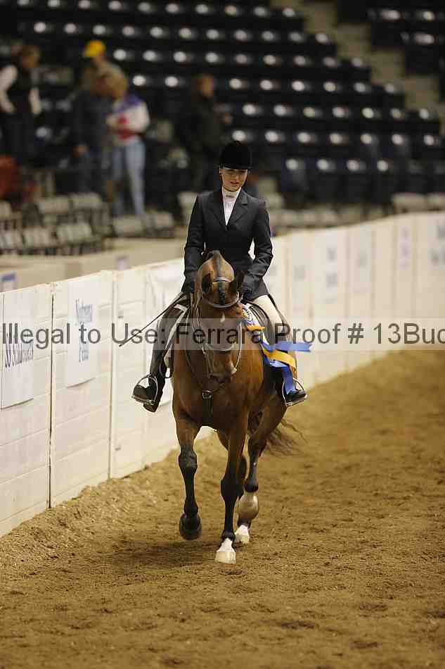 Proof 13buck_5873