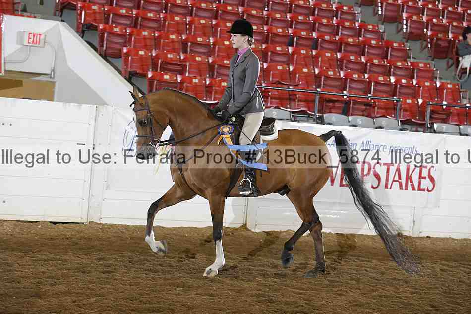 Proof 13buck_5874