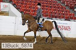 13buck_5874 proof