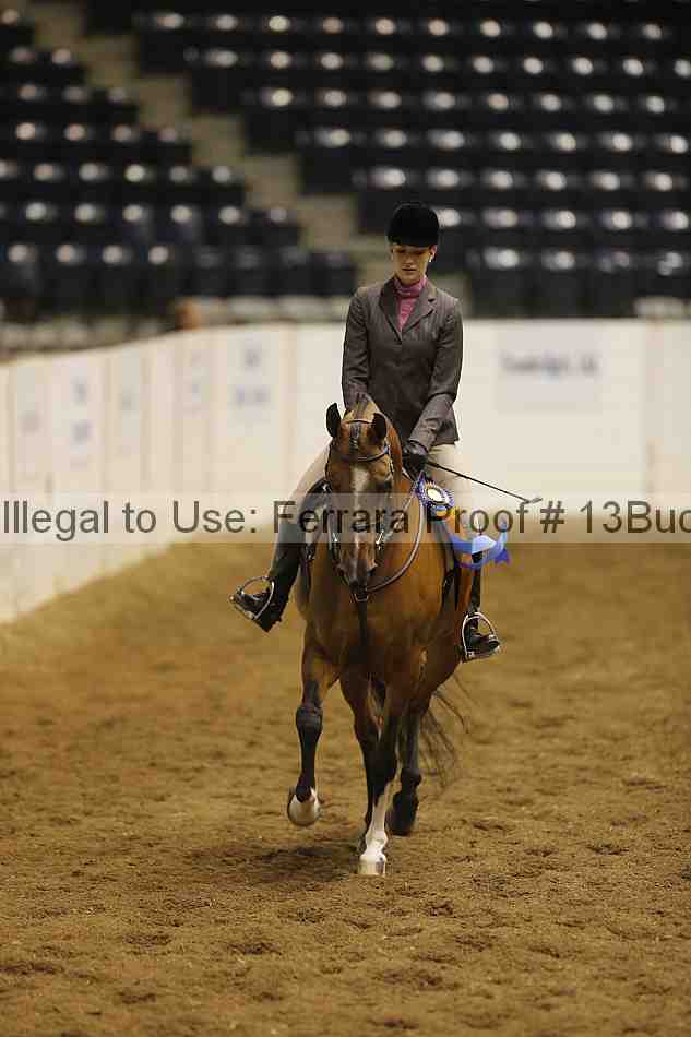 Proof 13buck_5876