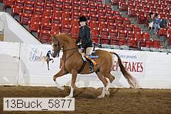 13buck_5877 proof