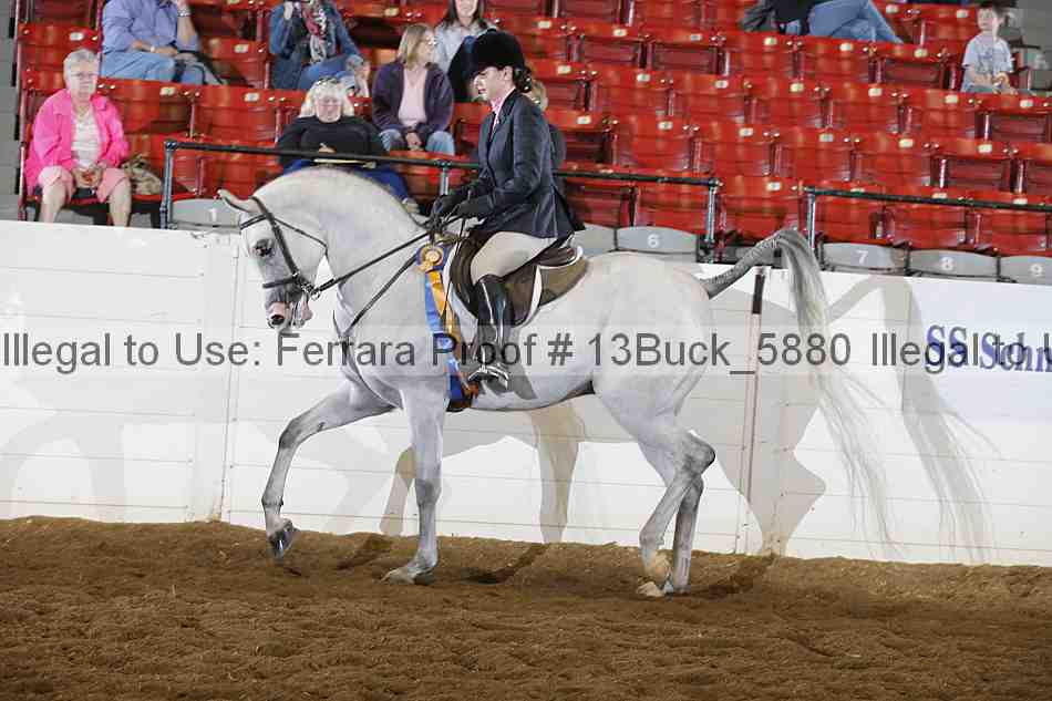 Proof 13buck_5880