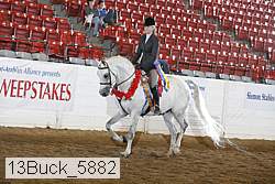 13buck_5882 proof