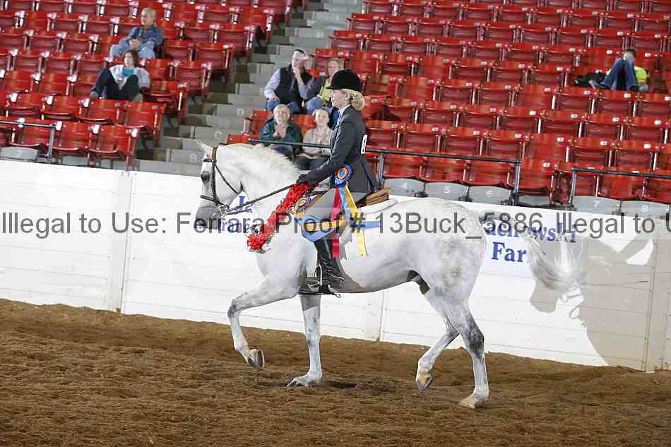 Proof 13buck_5886