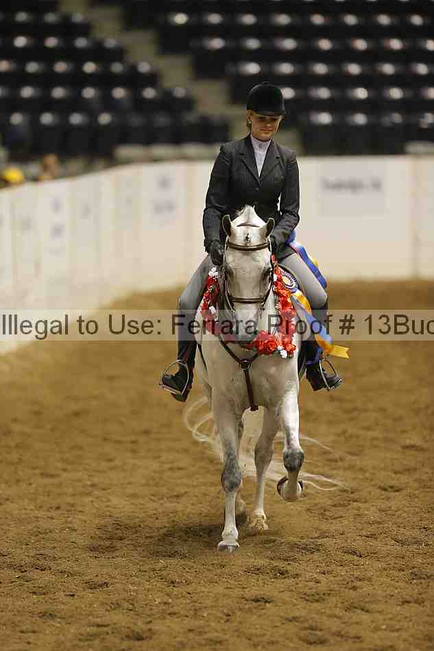 Proof 13buck_5889