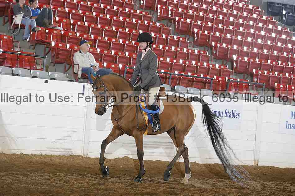 Proof 13buck_6035