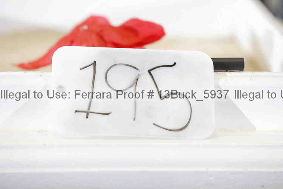 Proof 13buck_5937