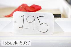 13buck_5937 proof