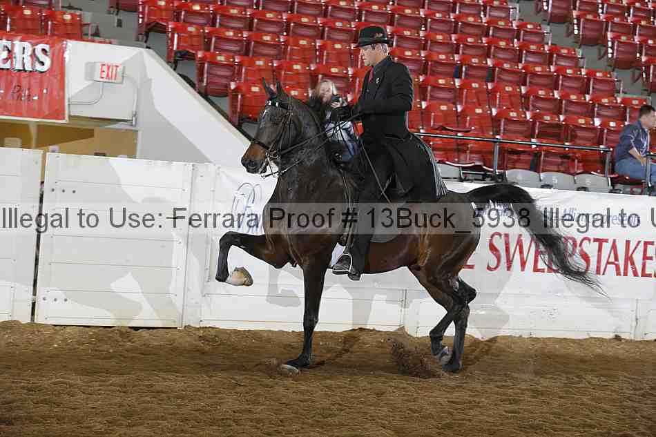 Proof 13buck_5938