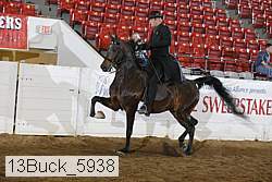 13buck_5938 proof